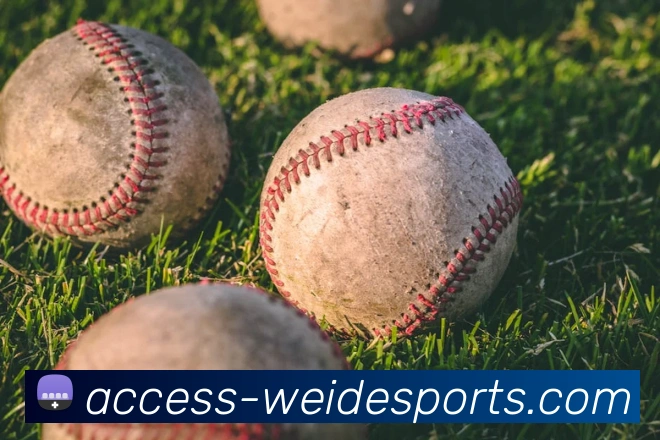 奖项2